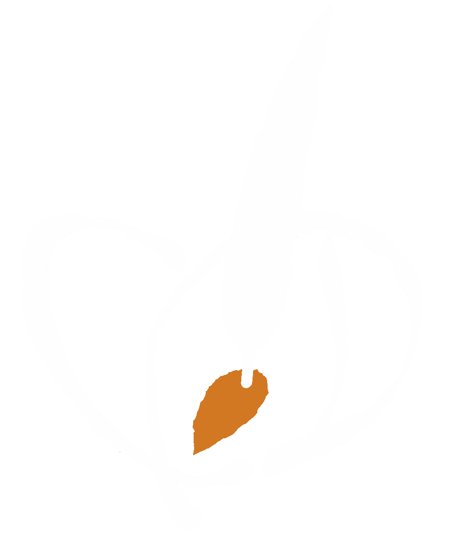 Chianti B&B Design